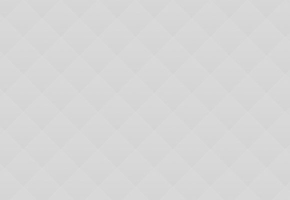 Professional Hair Styles